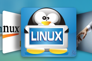 Linux运维基础技能： 脚本编程与Linux命令
